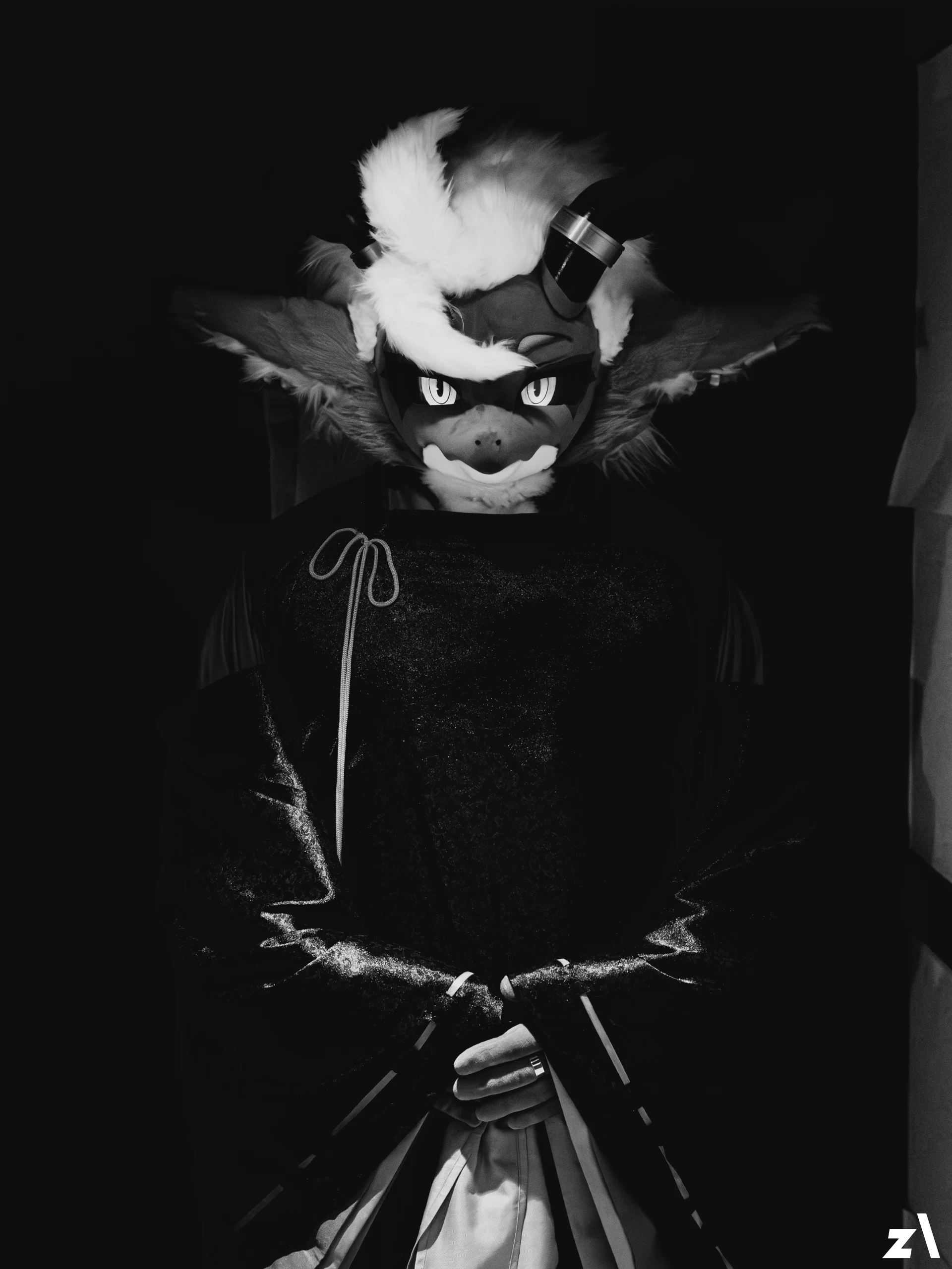 Portfolio 9